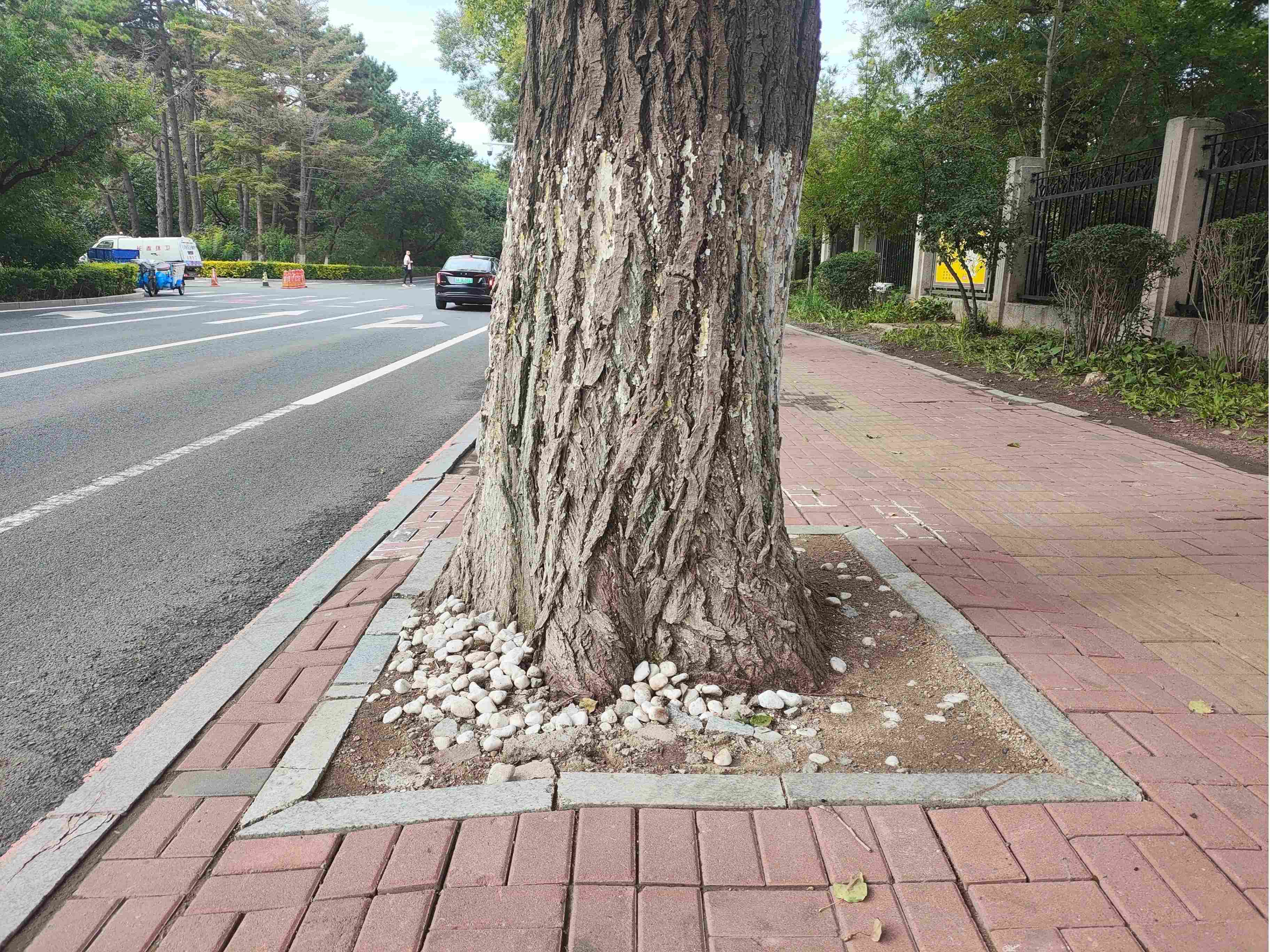 稿定設(shè)計(jì)-5